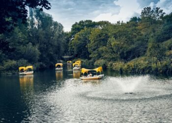 Umzug nach der Hochzeit: Neustart in Ahrensburg